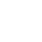 ins-white